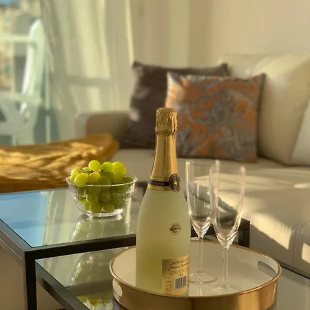 Ap338 - Gaviota Moell Nerja