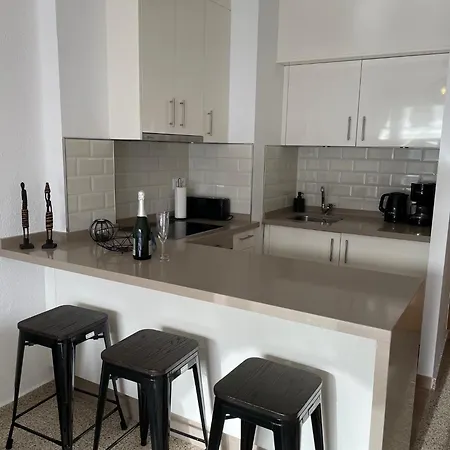 Ap338 - Gaviota Moell Nerja