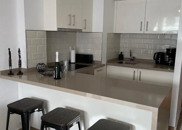 Ap338 - Gaviota Moell Nerja